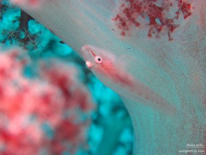 IMG_1706