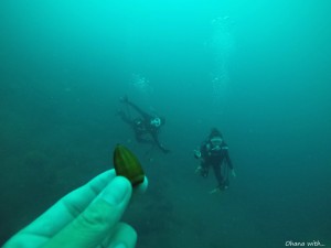 GOPR0321