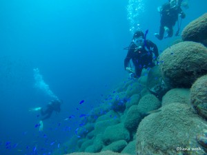 DCIM100GOPROGOPR0459.JPG