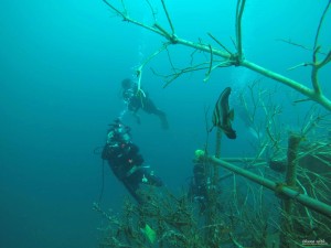 DCIM100GOPROGOPR0606.JPG
