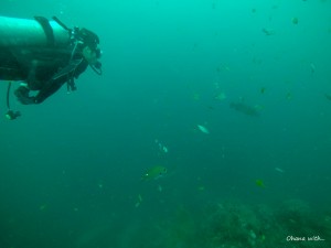 DCIM100GOPROGOPR0853.JPG