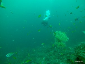 DCIM100GOPROGOPR0855.JPG