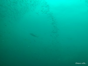DCIM100GOPROGOPR0862.JPG