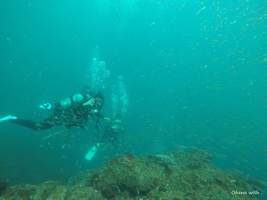 DCIM100GOPROGOPR0890.JPG