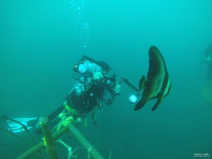 DCIM100GOPROGOPR0942.JPG