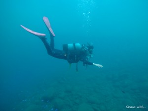 DCIM100GOPROGOPR0987.JPG