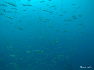 DCIM100GOPROGOPR1018.JPG