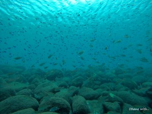 DCIM100GOPROGOPR1389.JPG