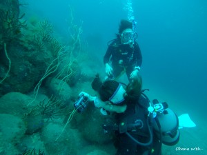 DCIM100GOPROGOPR1393.JPG