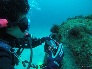 DCIM100GOPROGOPR1429.JPG