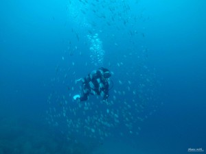 DCIM100GOPROGOPR1523.JPG