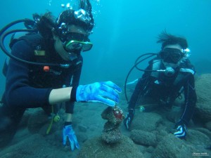 DCIM100GOPROGOPR1573.JPG