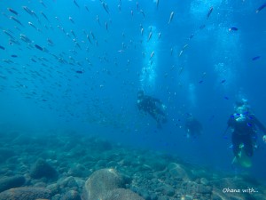 DCIM100GOPROGOPR1581.JPG