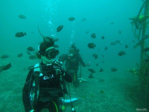 DCIM100GOPROGOPR1606.JPG