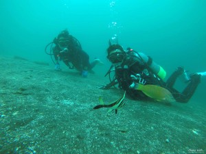 DCIM100GOPROGOPR1626.JPG