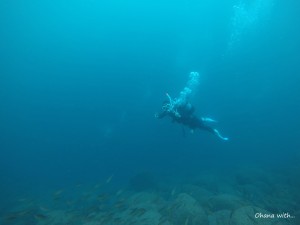 DCIM100GOPROGOPR1661.JPG