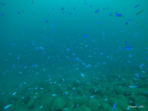 DCIM100GOPROGOPR1752.JPG