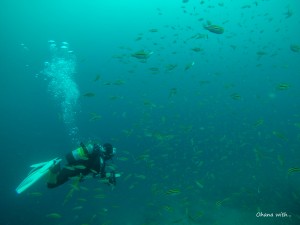DCIM100GOPROGOPR1758.JPG
