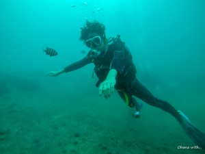 DCIM101GOPROGOPR6447.JPG
