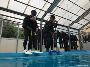 IMG_6769