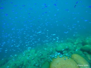 DCIM100GOPROGOPR2151.JPG