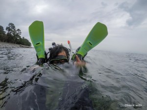 DCIM104GOPROGOPR2672.JPG