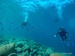 DCIM100GOPROGOPR3185.JPG