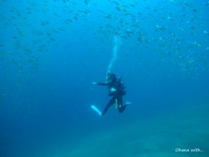 DCIM100GOPROGOPR3210.JPG