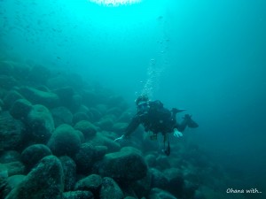 DCIM104GOPROGOPR3531.JPG