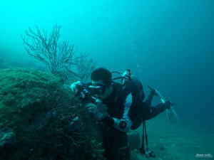 DCIM100GOPROGOPR3161.JPG