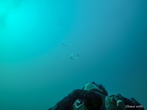 DCIM100GOPROGOPR3204.JPG