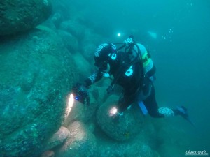 DCIM100GOPROGOPR3548.JPG