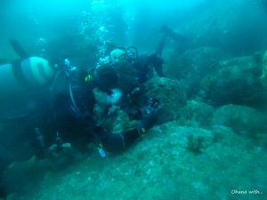 DCIM100GOPROGOPR3697.JPG