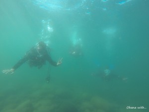 DCIM104GOPROGOPR3765.JPG