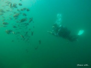 DCIM104GOPROGOPR3935.JPG