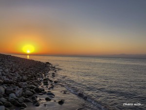 IMG_1039