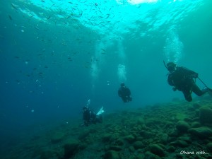 DCIM118GOPROGOPR1959.JPG
