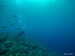DCIM118GOPROGOPR1970.JPG