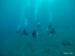 DCIM118GOPROGOPR2319.JPG