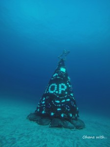GOPR2453