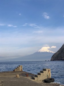 IMG_1554