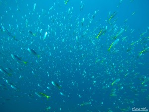 DCIM118GOPROGOPR2766.JPG