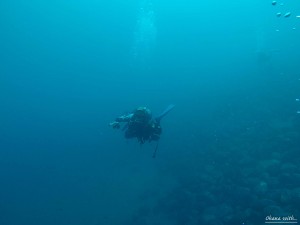 DCIM118GOPROGOPR3299.JPG