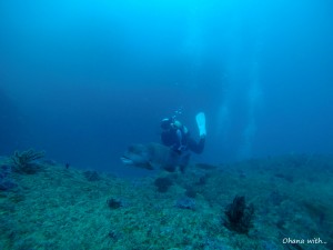 DCIM118GOPROGOPR3383.JPG