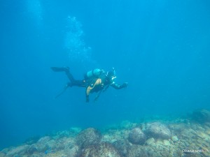 DCIM100GOPROGOPR6579.JPG