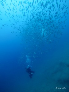 DCIM100GOPROGOPR0028.JPG