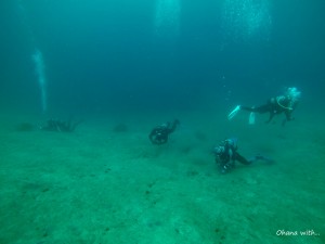 DCIM118GOPROGOPR6115.JPG