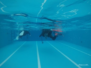 DCIM118GOPROGOPR6662.JPG
