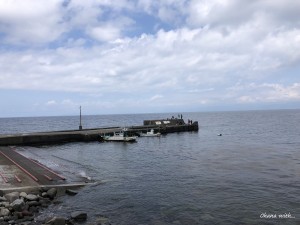 IMG_4184
