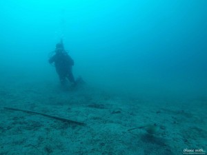 DCIM100GOPROGOPR0010.JPG